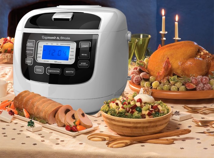 Comment choisir un multicuiseur Comment choisir un multicuiseur