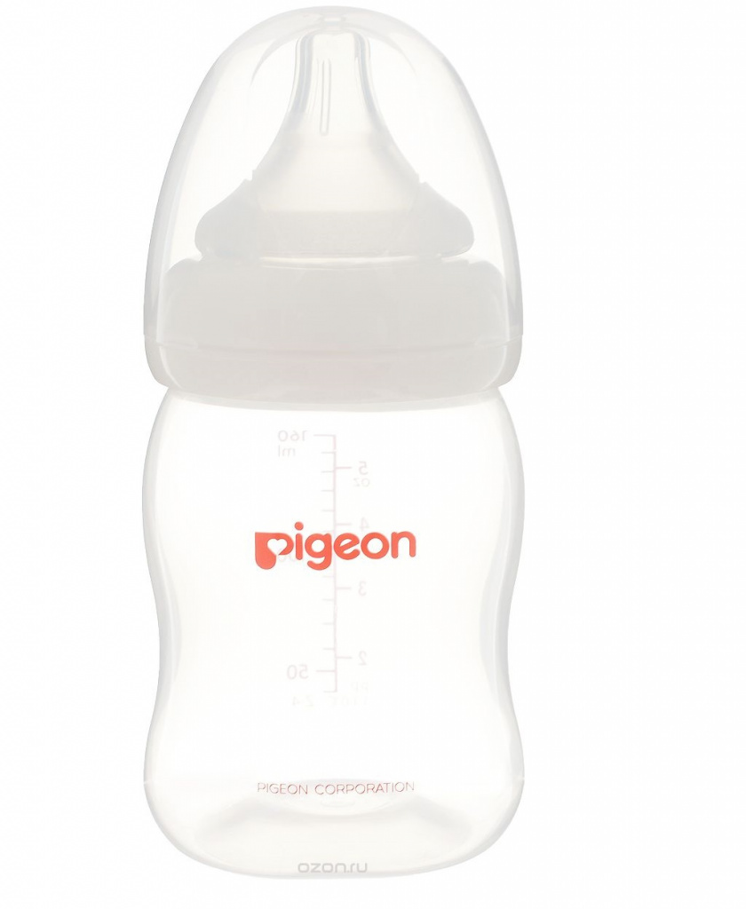 Bottle Pigeon Bottle Pigeon