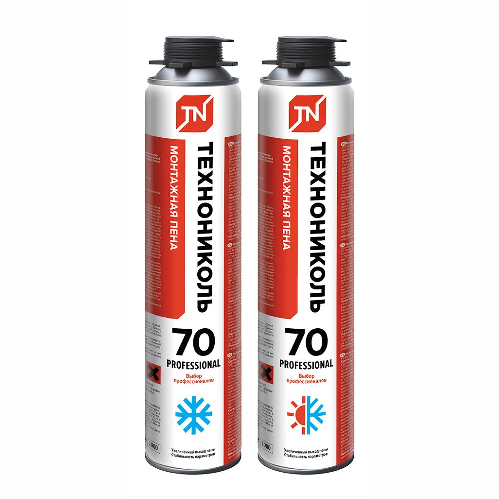 TechnoNIKOL 65 Sabit