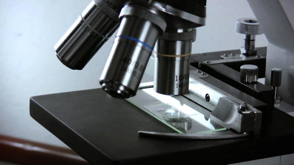 nous sélectionnons un microscope en fonction des caractéristiques nous sélectionnons un microscope en fonction des caractéristiques