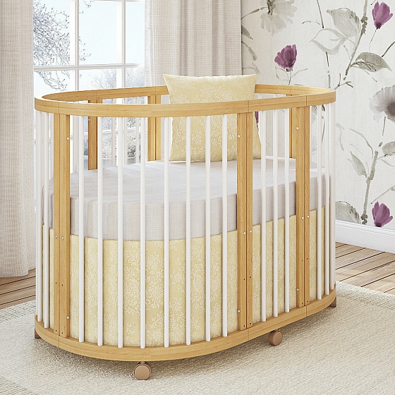 Giovanni TreeO 6 em 1