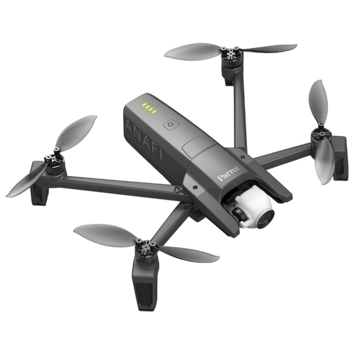 Perroquet anafi Perroquet anafi